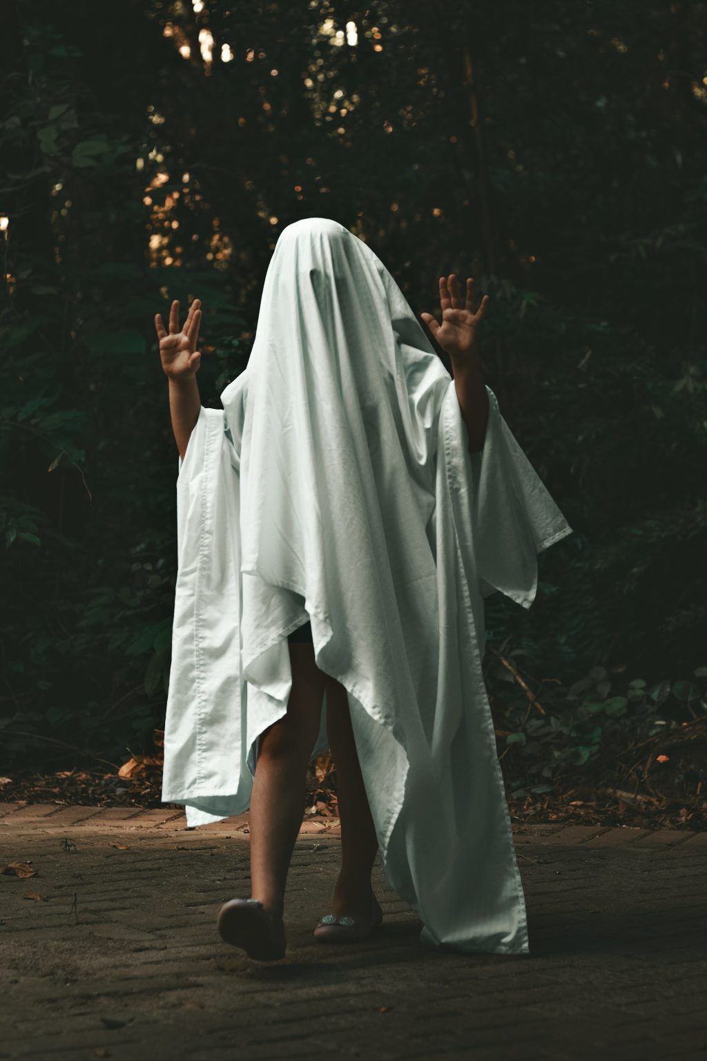 Ghosts Aren’t Real (…and that’s okay) – The Hilltop Monitor